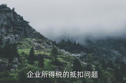 企業(yè)所得稅用什么抵扣，企業(yè)所得稅抵扣