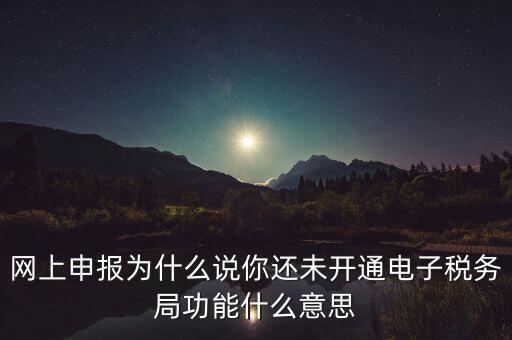 電子稅務(wù)局是干什么，企業(yè)金稅盤系統(tǒng)用來開票抄稅報稅用那登錄國稅地稅局網(wǎng)站是干嘛的