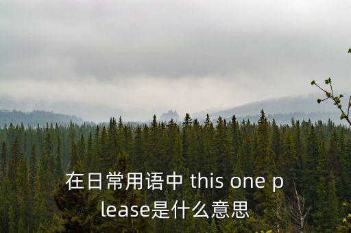 在日常用語(yǔ)中 this one please是什么意思