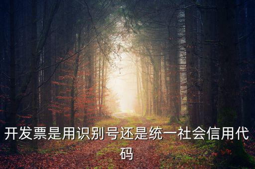 發(fā)票填寫統(tǒng)一社會代碼是什么，開發(fā)票要的稅號是統(tǒng)一社會代碼證號嗎