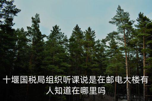 十堰國稅六辦指什么地方，十堰國稅局組織聽課說是在郵電大樓有人知道在哪里嗎