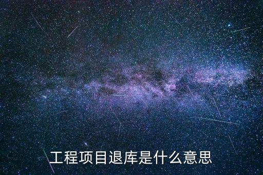 電子退庫是什么意思，工程項目退庫是什么意思