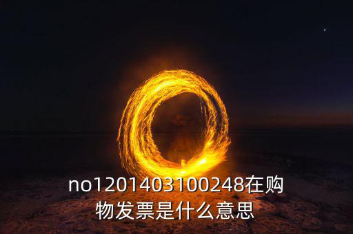 湖南發(fā)票號(hào)碼是什么意思，發(fā)票參考號(hào)是什么意思