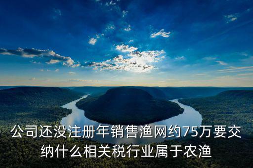 公司還沒注冊年銷售漁網約75萬要交納什么相關稅行業(yè)屬于農漁