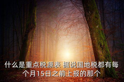 什么是重點(diǎn)稅源表 據(jù)說國地稅都有每個(gè)月15日之前上報(bào)的那個(gè)