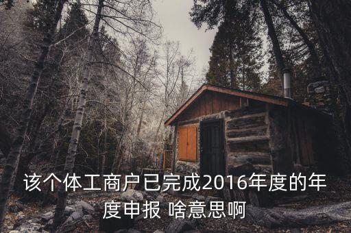 個體戶申報是什么意思，該個體工商戶已完成2016年度的年度申報 啥意思啊