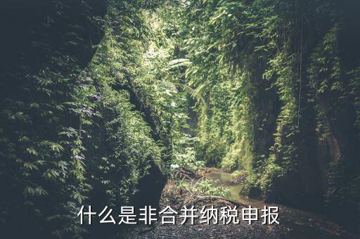 什么是非合并納稅申報(bào)