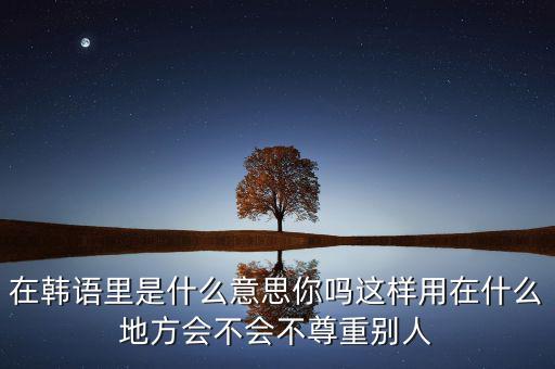 在韓語(yǔ)里是什么意思你嗎這樣用在什么地方會(huì)不會(huì)不尊重別人