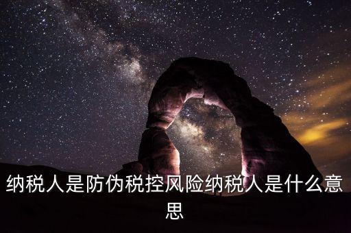 納稅人是防偽稅控風險納稅人是什么意思