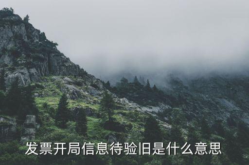 什么叫驗(yàn)舊發(fā)票，發(fā)票驗(yàn)舊是什么意思