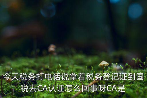 稅務(wù)局ca證書是什么，今天稅務(wù)打電話說拿著稅務(wù)登記證到國稅去CA認證怎么回事呀CA是