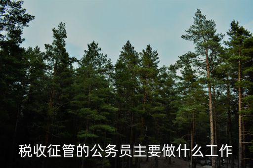 稅收管理員干什么的，稅收征管的公務(wù)員主要做什么工作