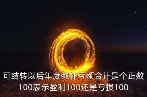 可結轉(zhuǎn)以后年度彌補虧額合計是個正數(shù)100表示盈利100還是虧損100