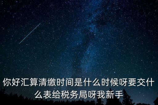 你好匯算清繳時間是什么時候呀要交什么表給稅務局呀我新手