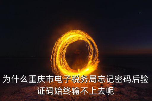 重慶電子稅務(wù)局什么時間開始，重慶渝北區(qū)地稅局就是一支路那個的作息時間是幾點到幾點啊