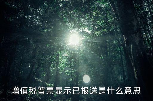 增值稅普票顯示已報送是什么意思