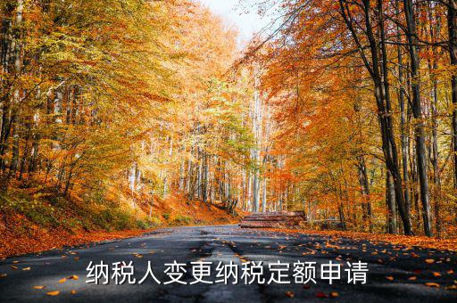 變更納稅定額什么意思，調(diào)整應(yīng)納稅所得額什么意思