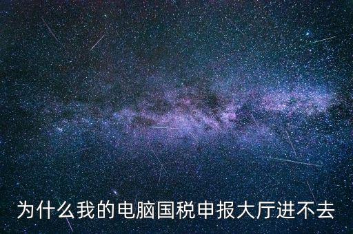 為什么我的電腦國稅申報大廳進不去