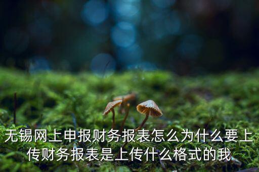 為什么要上傳報表，無錫網(wǎng)上申報財務報表怎么為什么要上傳財務報表是上傳什么格式