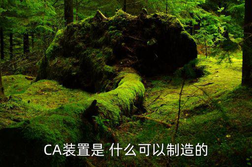 ca控件是什么，CA裝置是 什么可以制造的