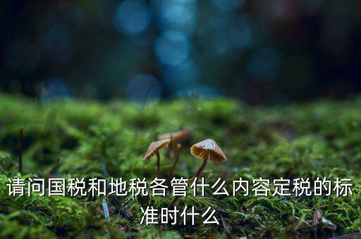 請問國稅和地稅各管什么內(nèi)容定稅的標準時什么