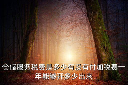 倉(cāng)儲(chǔ)服務(wù)稅費(fèi)是多少有沒有付加稅費(fèi)一年能夠開多少出來(lái)