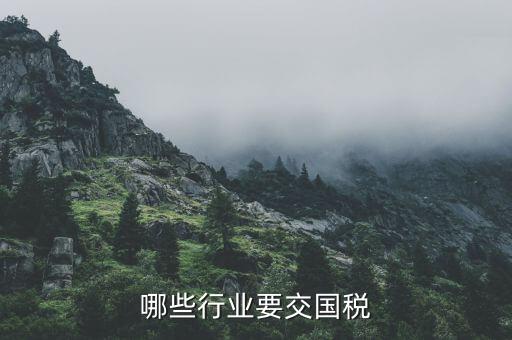 什么企業(yè)要交國稅，哪些行業(yè)交國稅哪些行業(yè)都交