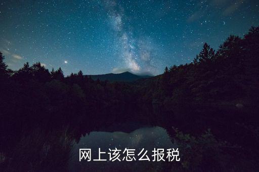 網(wǎng)上該怎么報稅