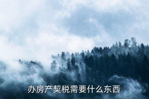 辦房產(chǎn)契稅需要什么東西