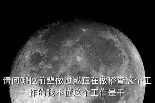 請問哪位前輩做過或正在做稽查這個工作的我不懂這個工作是干