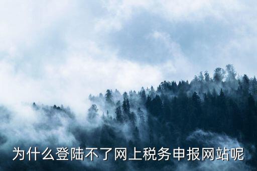 為什么登陸不了網(wǎng)上稅務(wù)申報網(wǎng)站呢