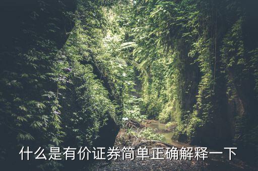 什么是有價(jià)證券簡(jiǎn)單正確解釋一下