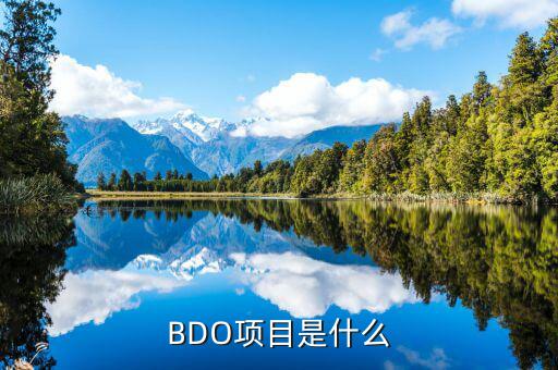 BDO項目是什么