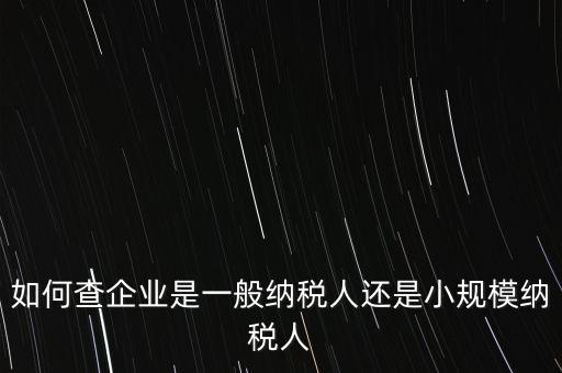 查詢公司什么納稅人，如何查企業(yè)是一般納稅人還是小規(guī)模納稅人