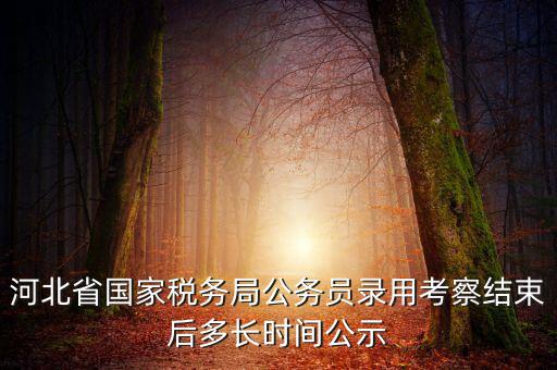 國稅一般什么時候公示，河北省國家稅務(wù)局公務(wù)員錄用考察結(jié)束后多長時間公示