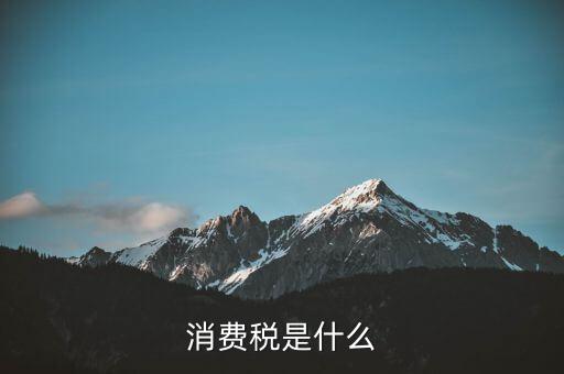 消費稅是什么