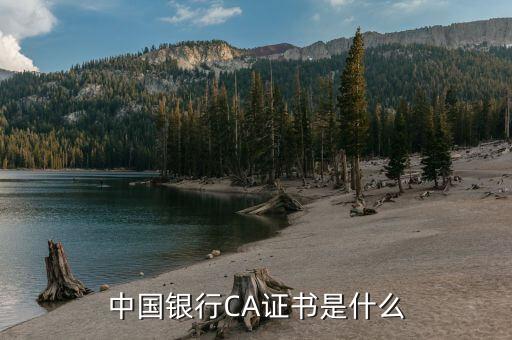 ca證書驅(qū)動是什么，頤信CA的驅(qū)動在哪里下載