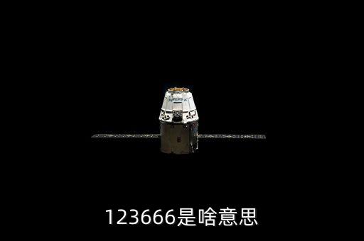 12366數(shù)字代表什么，12366納稅服務(wù)熱線 這幾個數(shù)字 有特殊的意義請問誰知道它們分