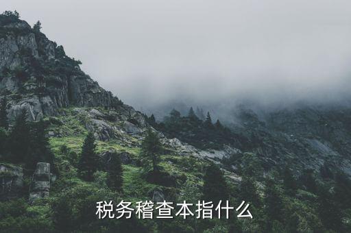 什么叫稅務(wù)稽查檢查科臺帳范本，稅務(wù)稽查本指什么