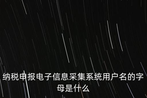 江蘇國稅電子稅務局登錄用戶名是什么意思，江蘇國稅網(wǎng)上辦稅服務廳的用戶名是什么