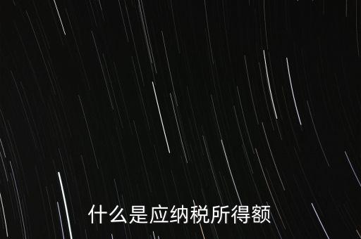 什么是年應(yīng)納稅所得額，什么是應(yīng)納稅所得額