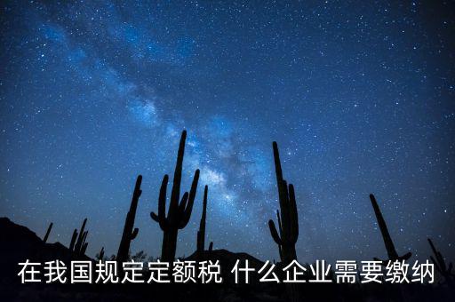 在我國(guó)規(guī)定定額稅 什么企業(yè)需要繳納