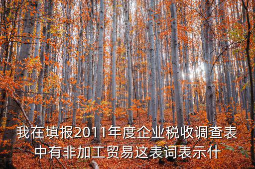 我在填報2011年度企業(yè)稅收調查表中有非加工貿易這表詞表示什