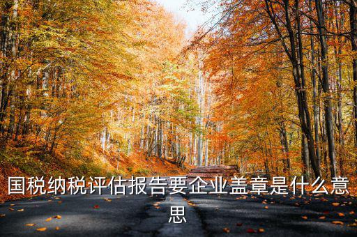 國稅納稅評(píng)估報(bào)告要企業(yè)蓋章是什么意思