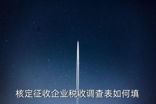 什么企業(yè)填稅收調查表，核定征收企業(yè)稅收調查表如何填