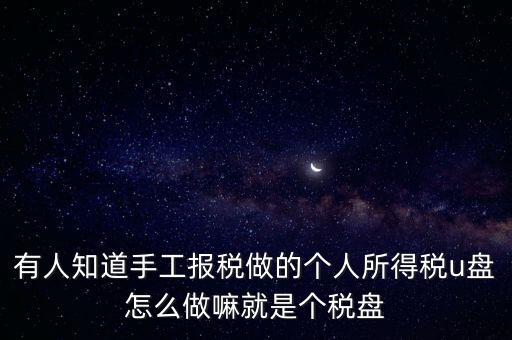 有人知道手工報稅做的個人所得稅u盤怎么做嘛就是個稅盤