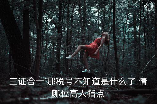 三證合一后的發(fā)票稅號是什么意思，三證合一 那稅號不知道是什么了 請哪位高人指點