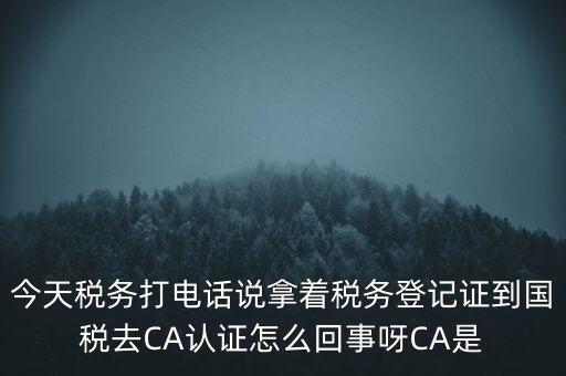 今天稅務(wù)打電話說拿著稅務(wù)登記證到國稅去CA認證怎么回事呀CA是