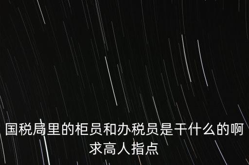 國稅局里的柜員和辦稅員是干什么的啊求高人指點