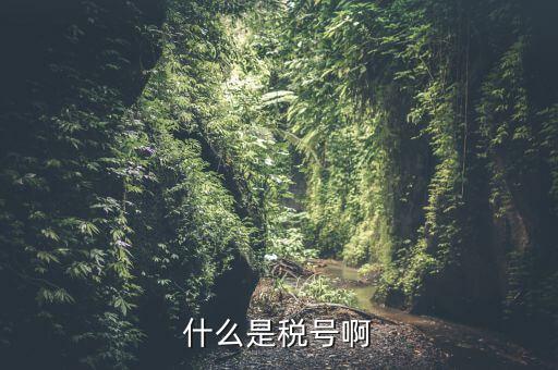 無證合一的稅號是什么意思，什么叫稅號